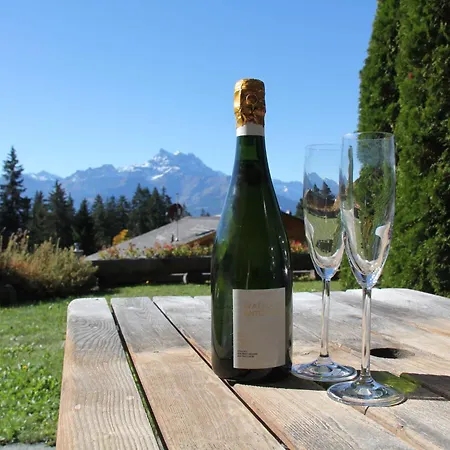 Rose Des Vents 4 By Interhome Villars-sur-Ollon